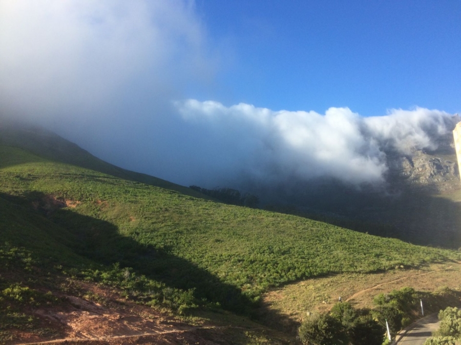 To Let 0 Bedroom Property for Rent in Vredehoek Western Cape